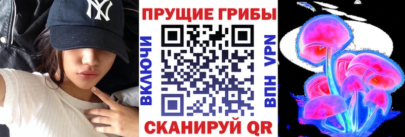 Псилоцибиновые грибы прущие грибы  как найти   Крымск 